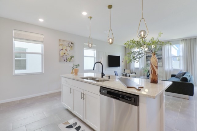 Kitchen island with the stainless dishwasher, a window at the left and the green sofa beyond