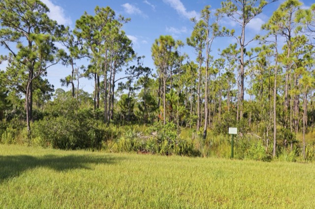 Mowed lawn in front of a stand of pine trees and native scrub under a blue sky
